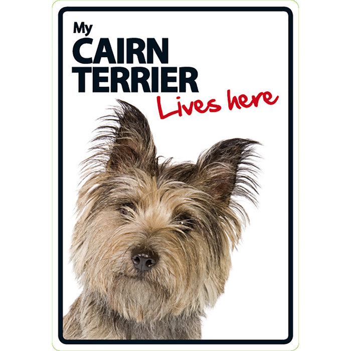 Señal A5 'Cairn Terrier - Lives Here', 14.8 x 21 cm, MAGNET & STEEL