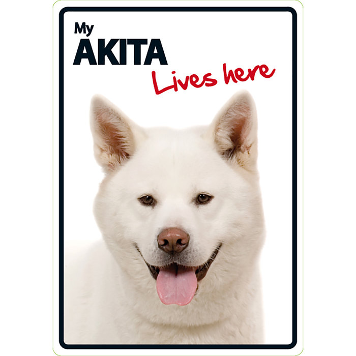 Señal A5 'Akita - Lives Here', 14.8 x 21 cm, MAGNET & STEEL