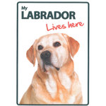 Señal A5 'Labrador - Lives Here', 14.8 x 21 cm, MAGNET & STEEL