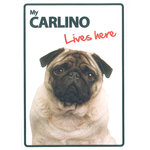 Señal A5 'Carlino - Lives Here', 14.8 x 21 cm, MAGNET & STEEL