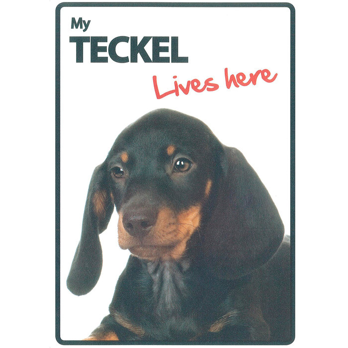 Señal A5 'Teckel - Lives Here', 14.8 x 21 cm, MAGNET & STEEL