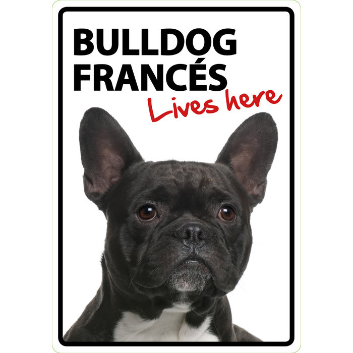 Señal A5 'Bulldog Francés - Lives Here', 14.8 x 21 cm, MAGNET & STEEL