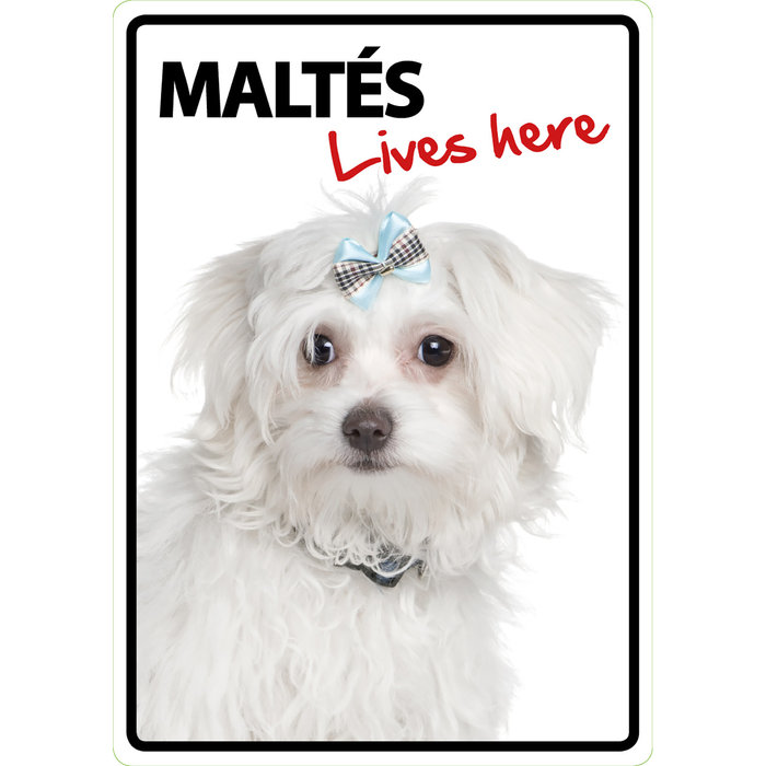 Señal A5 'Maltés - Lives Here', 14.8 x 21 cm, MAGNET & STEEL
