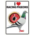 Señal A5 'I Love Racing Pigeons', 14.8 x 21 cm, MAGNET & STEEL