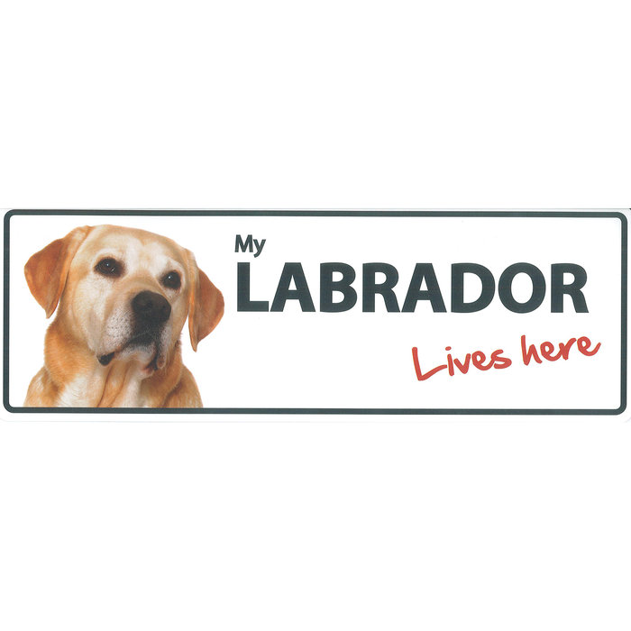 Señal Horizontal 'My Labrador - Lives Here', 30 x 10.3 cm, MAGNET & STEEL