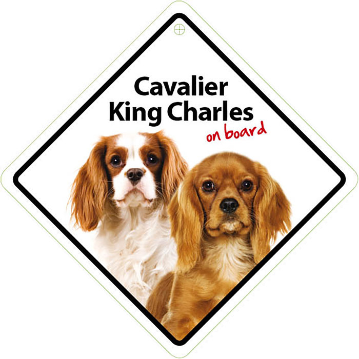 Señal con Ventosa 'Cavalier King Charles on Board', 14 x 14 cm, MAGNET & STEEL