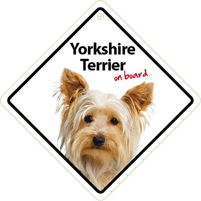 Señal con Ventosa 'Yorkshire Terrier on Board', 14 x 14 cm, MAGNET & STEEL (adviento-1)