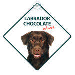Señal con Ventosa 'Labrador Chocolate on Board', 14 x 14 cm, MAGNET & STEEL