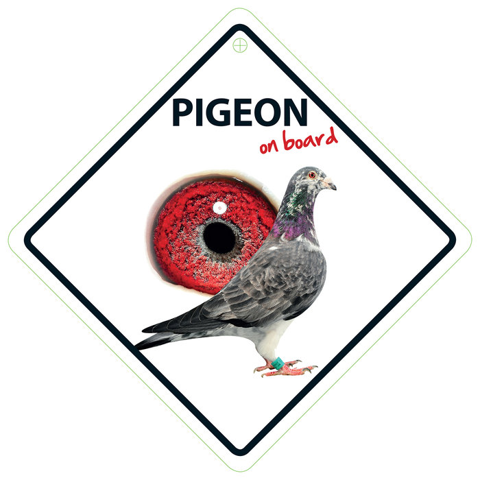 Señal con Ventosa 'Pigeon on Board', 14 x 14 cm, MAGNET & STEEL