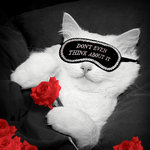Tarjeta B/N Gato 'Don't Even Think…', 15 x 15 cm, MAGNET & STEEL