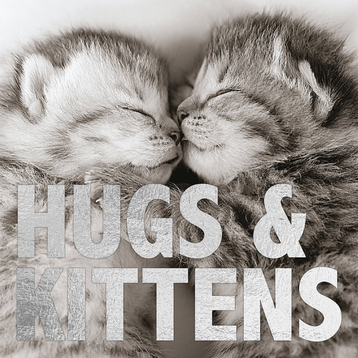 Tarjeta B/N Gatitos 'Hugs & Kittens', 15 x 15 cm, MAGNET & STEEL