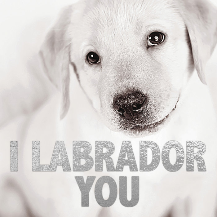 Tarjeta B/N 'I Labrador You', 15 x 15 cm, MAGNET & STEEL