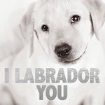 Tarjeta B/N 'I Labrador You', 15 x 15 cm, MAGNET & STEEL