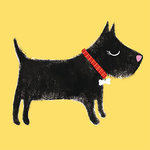 Tarjeta Dibujo Perro con Collar Rojo, 15 x 15 cm, MAGNET & STEEL