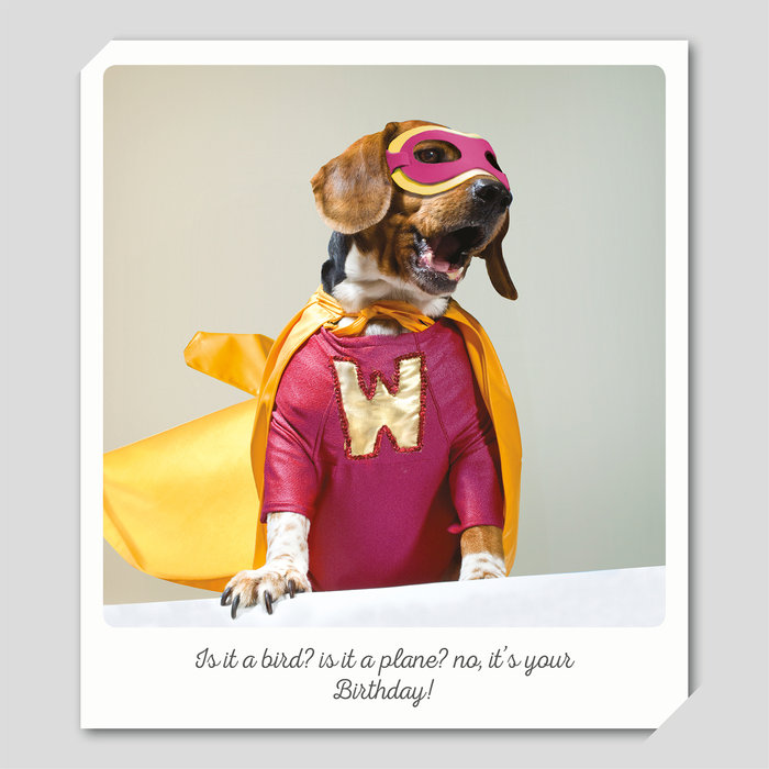 Tarjeta Perro Teckel Superhéroe 'Birthday', 15 x 15 cm, MAGNET & STEEL
