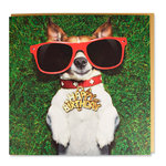 Tarjeta Jack Russel con Gafas 'Happy Birthday', 15 x 15 cm, MAGNET & STEEL