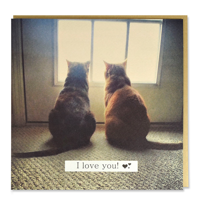 Tarjeta 2 Gatos 'I Love You', 15 x 15 cm, MAGNET & STEEL