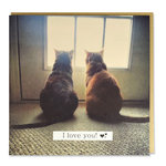Tarjeta 2 Gatos 'I Love You', 15 x 15 cm, MAGNET & STEEL
