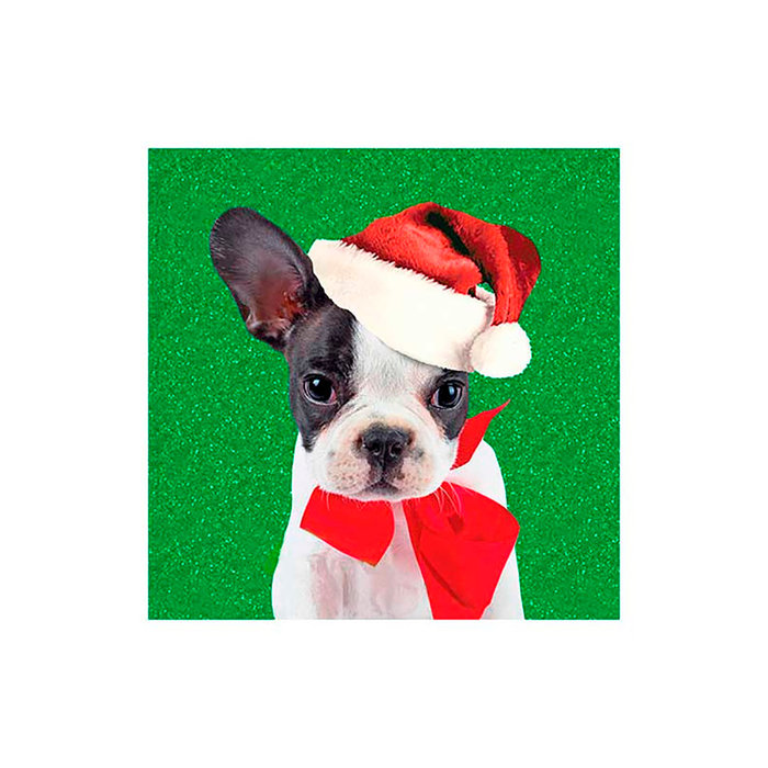 Tarjeta Bulldog Francés con Pajarita, 15 x 15 cm, MAGNET & STEEL
