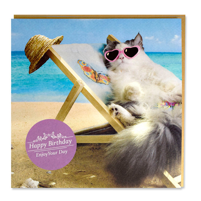 Tarjeta Fashion Gato en Silla de Playa, 15 x 15 cm, MAGNET & STEEL
