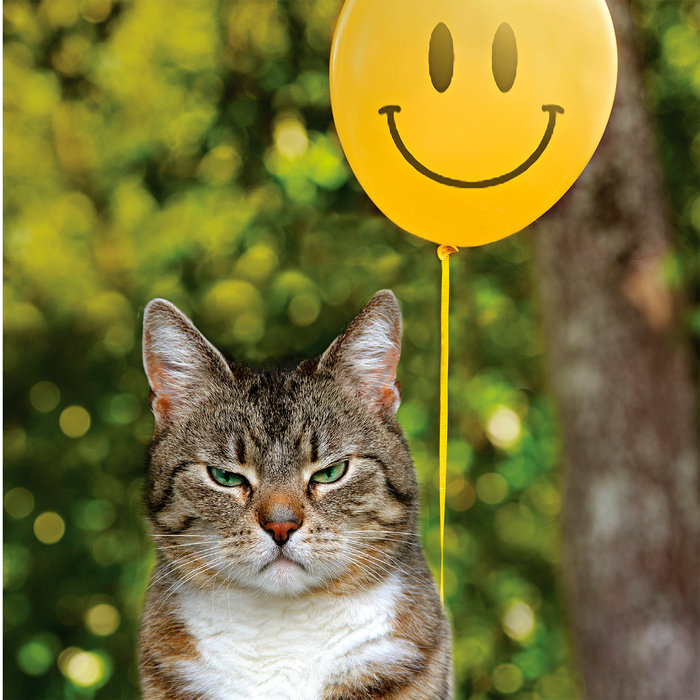 Tarjeta Gato Enfadado y Cara Sonriente, 15 x 15 cm, MAGNET & STEEL