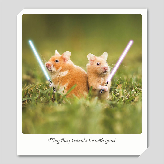Tarjeta Hámster Star Wars, 15 x 15 cm, MAGNET & STEEL