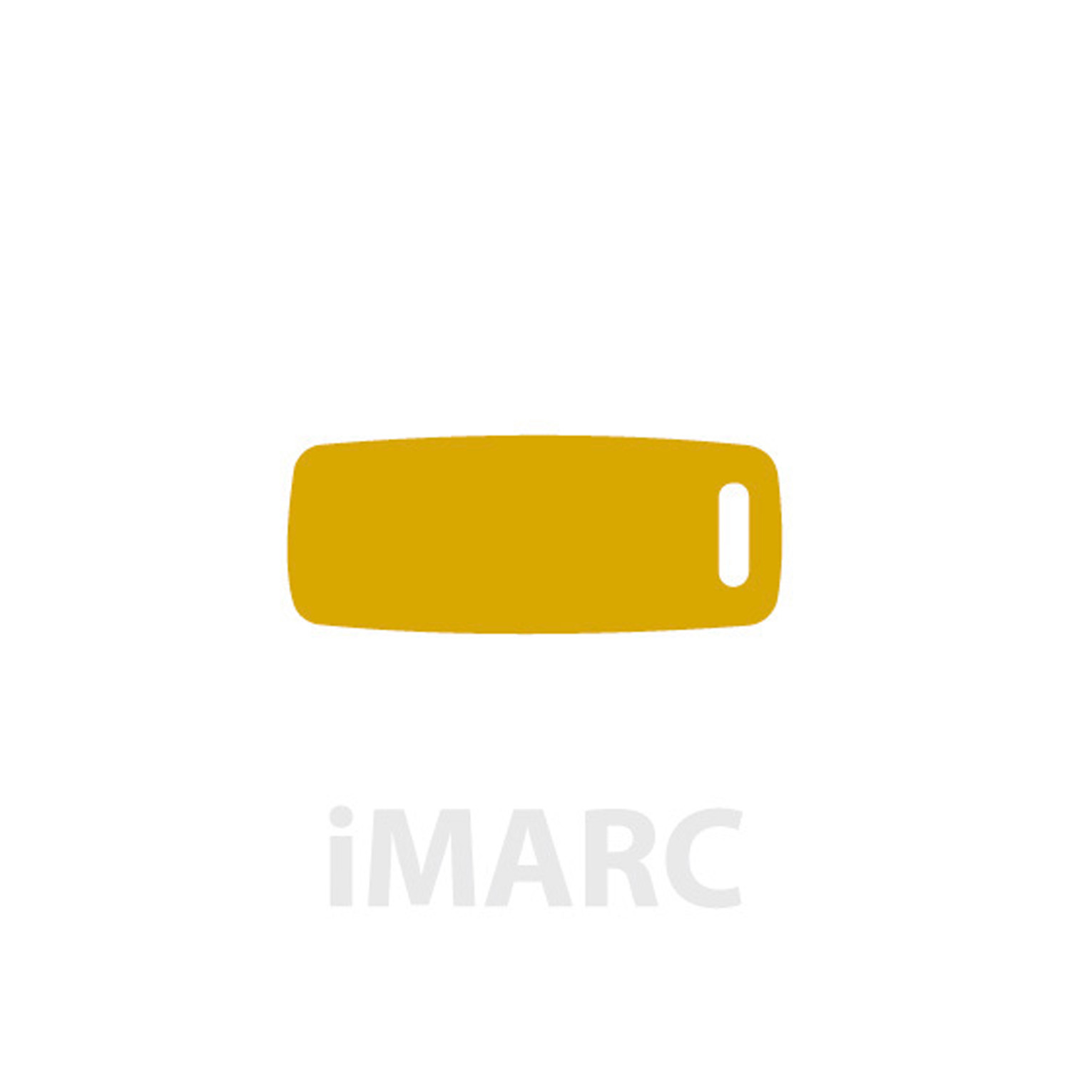 Placa Equipaje IMARC, Dorado, 7 x 3.5 cm. Si quiere añadir grabación añada el artículo H166200, indique el nombre a grabar en el campo de observaciones de su pedido. Se pueden añadir hasta 2 grabaciones por placa.