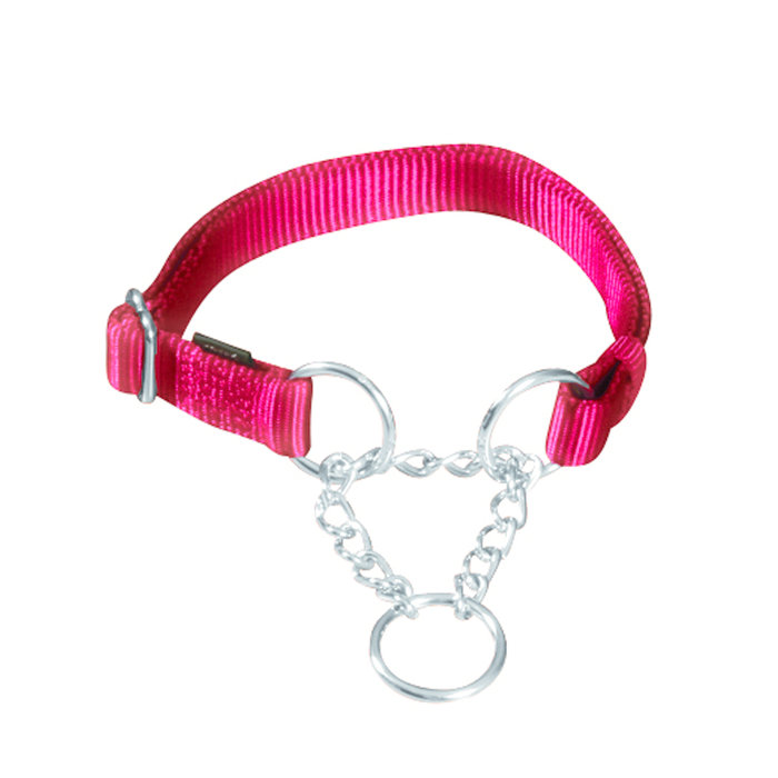 Collar Ajustable Nylon Premium, M-L, 35-50 cm/20 mm, Rojo