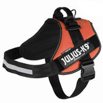 Arnés Julius-K9 IDC, Talla 4/XL, 110+cm, Naranja Cobrizo