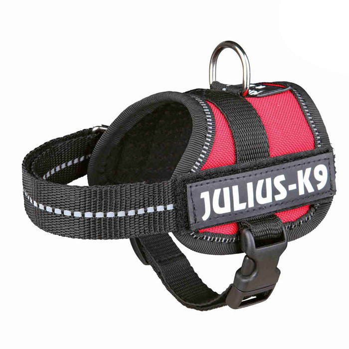 Arnés Julius-K9 Power, Baby 1/XS, 30–40 cm/18 mm, Rojo