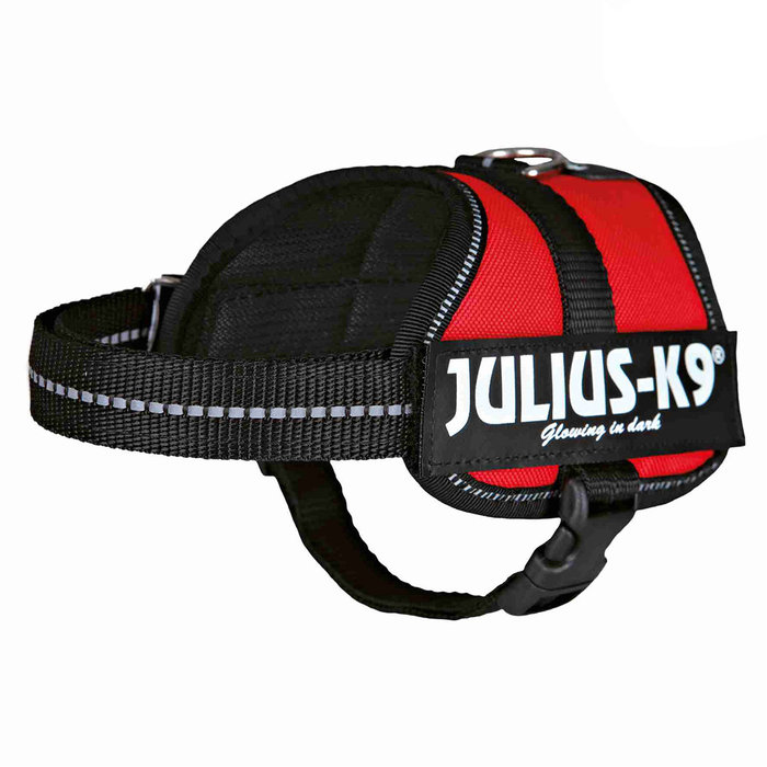 Arnés Julius-K9 Power, Baby 1/XS, 30–40 cm/18 mm, Rojo