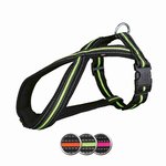 Fusion Touring Harness