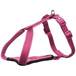 Arnés-Y Premium, M: 50–60 cm/20 mm, ColorOrquídea (adviento-03)