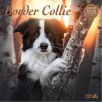 Calendario Border Collie Deluxe