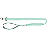 Correa Premium, L–XL: 1.00 m/25 mm, Menta