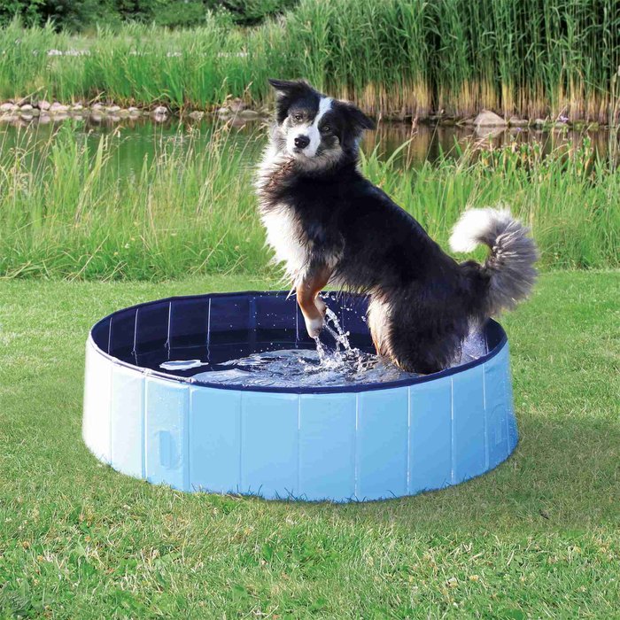 Dog pool, ø 70 × 12 cm, light blue/blue