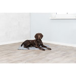 Suave alfombrilla refrescante, XL: 90 × 60 cm, Gris