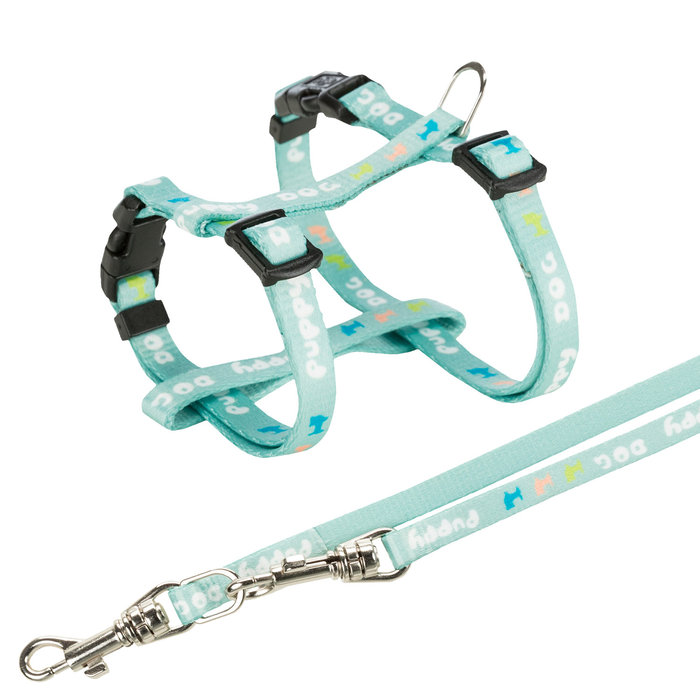 Junior puppy harness with leash, M–L: 27–45 cm/10 mm, 2.00 m, mint