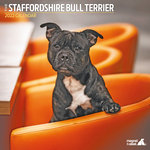 Calendario Staffordshire Bull Terrier Traditional, 16 meses, 30,5 x 30,5 cm