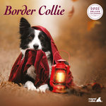 Calendario Border Collie Deluxe, 16 meses, 30,5 x 30,5 cm
