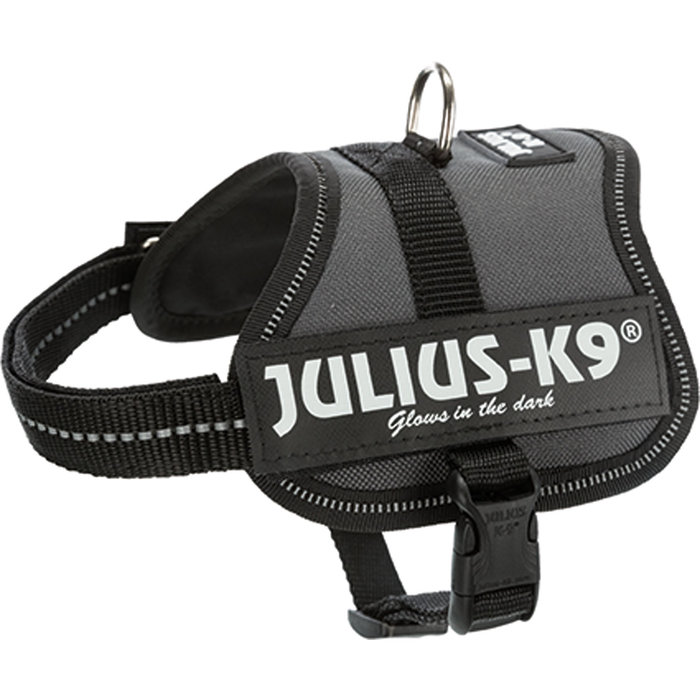 Arnés Julius-K9® Power, Baby 1/XS: 26–36 cm/18 mm, Antracita