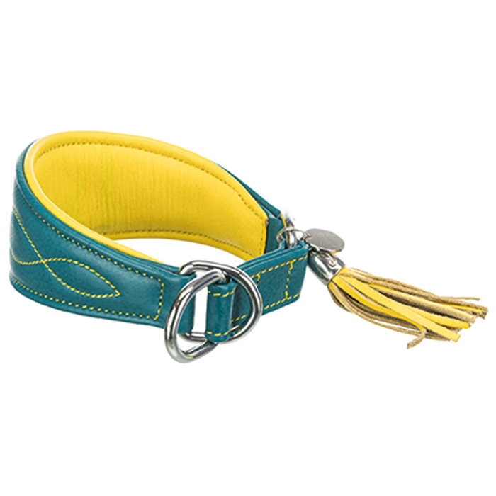 Collar Active Comfort para Galgos, XS–S: 24–31 cm/50 mm, Petróleo