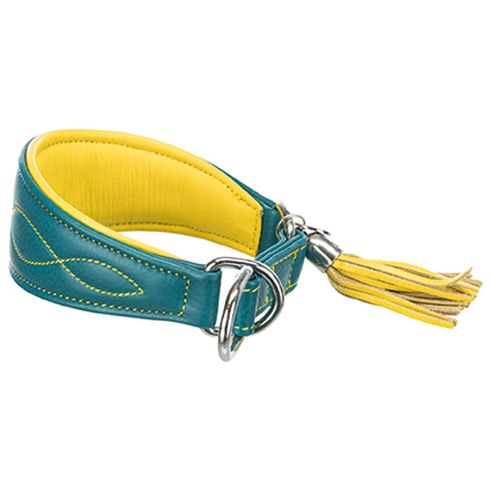Collar Active Comfort para Galgos, XS: 21–26 cm/40 mm, Petróleo