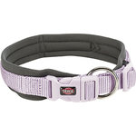 Premium collar, neoprene padded, L: 49–55 cm/25 mm, light lilac/graphite