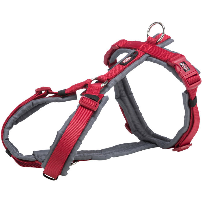 Premium trekking harness, XL: 80–97 cm/25 mm, red/graphite