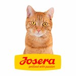 PVC support for showcase or stand Cat Orange JOSERA