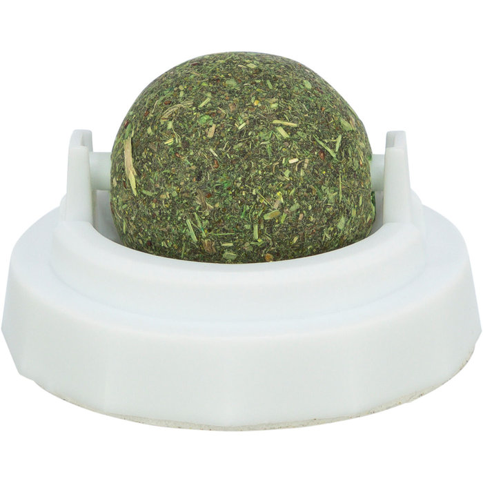 Pelota Catnip con soporte, ø 5 cm