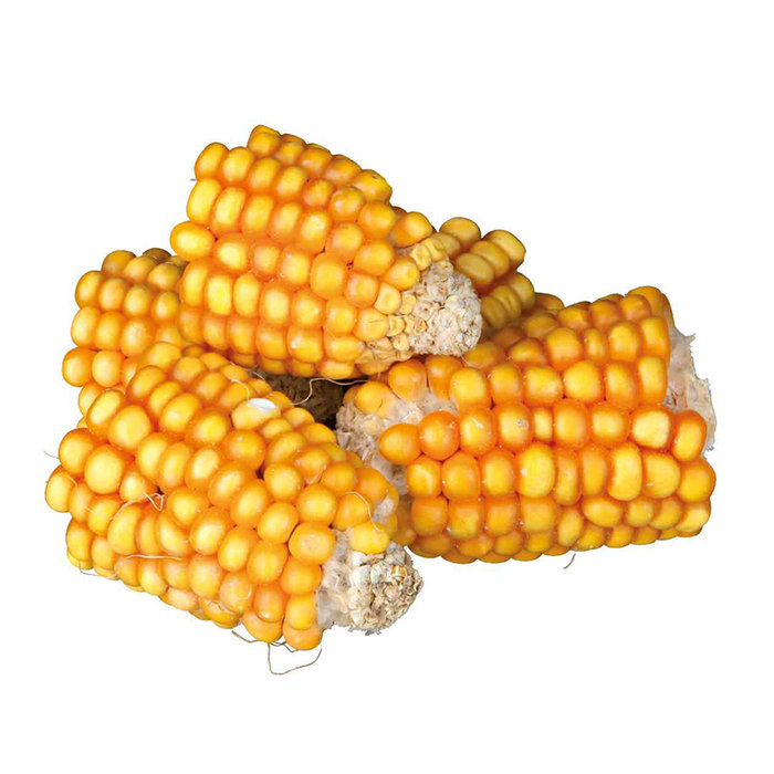 Pieces of maize cobs, 300 g