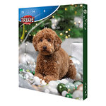 Calendario de Adviento Navidad Perro