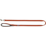 Correa Premium, XS, 1,20 m/10 mm, Óxido